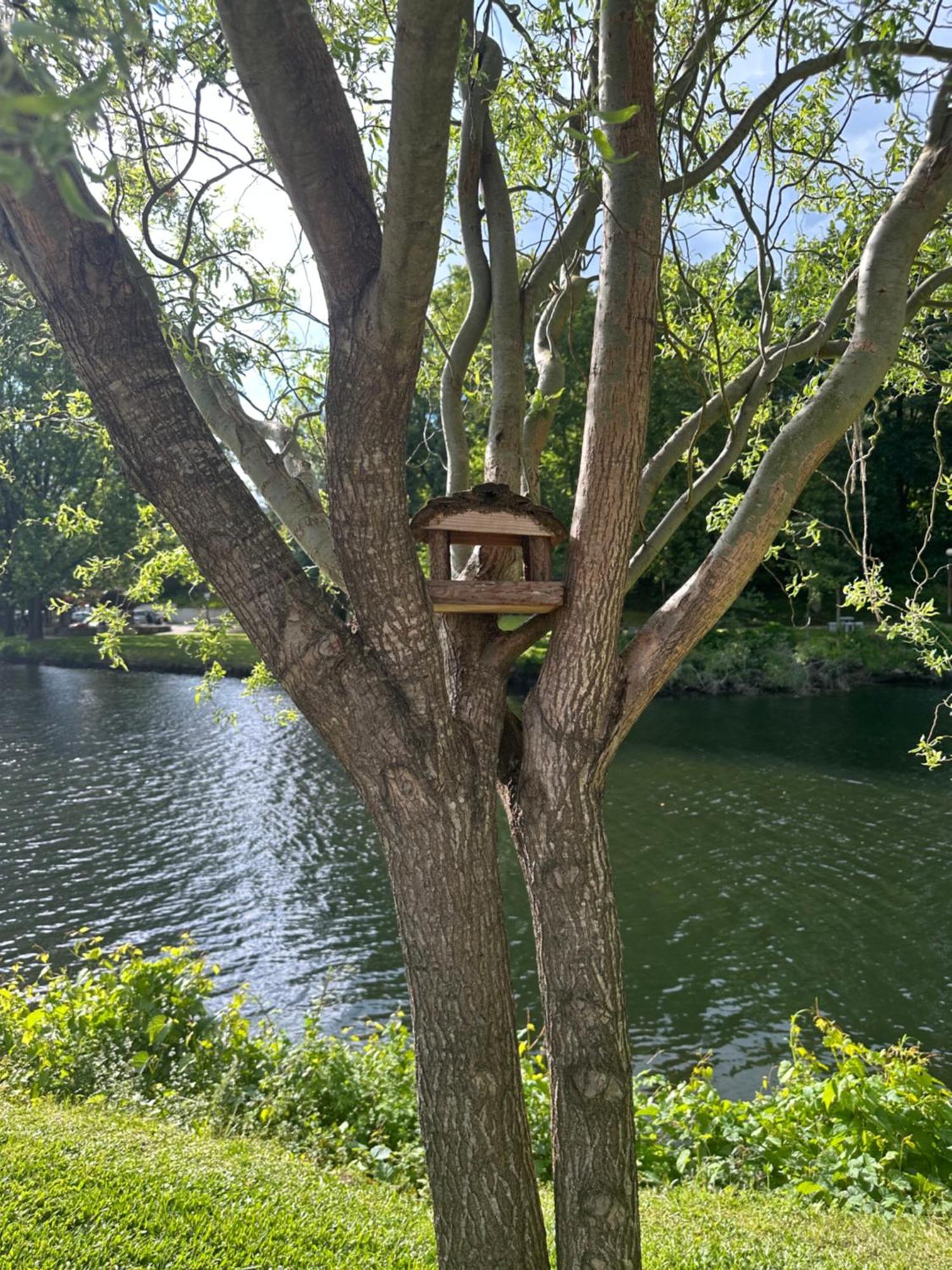 Nature E Spa Al - Termas Saude E Beleza, Totalmente Renovado - Piscinas Municipais Em Frente - Epoca Julho A Setembro São Pedro do Sul Екстериор снимка